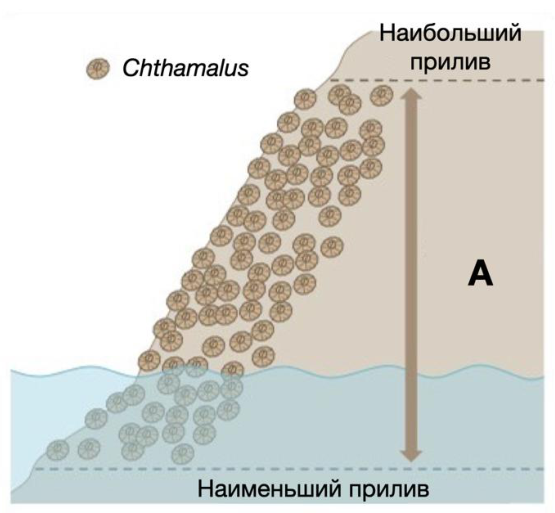 Часть 1 · № 40 · стр. 14