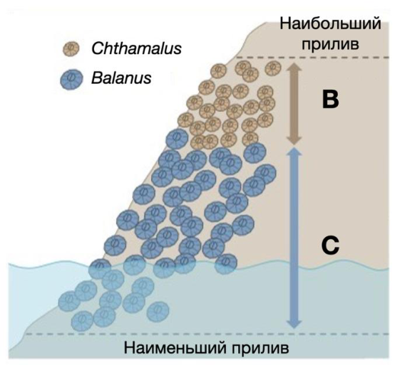 Часть 1 · № 40 · стр. 14