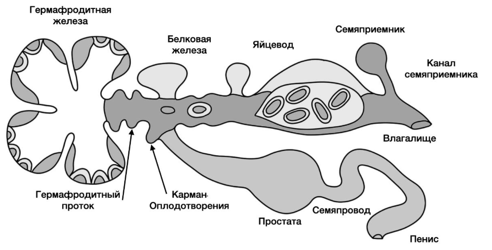Часть 2 · № 17 · стр. 23