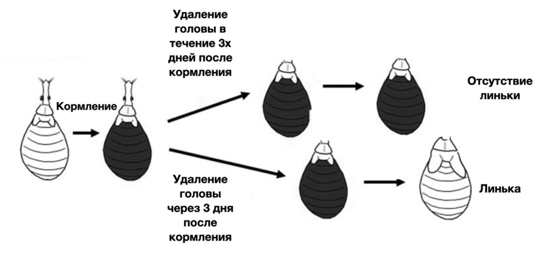 Часть 2 · № 18 · стр. 24